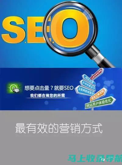 SEO新手入门：从SEO1网站查询到优化实操的全面指南